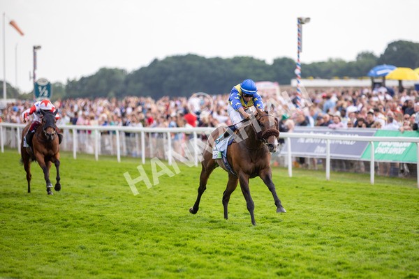 170623-Race 7-The Green Man-3233 - Race 7 5.25pm Clean Up With PPS Handicap