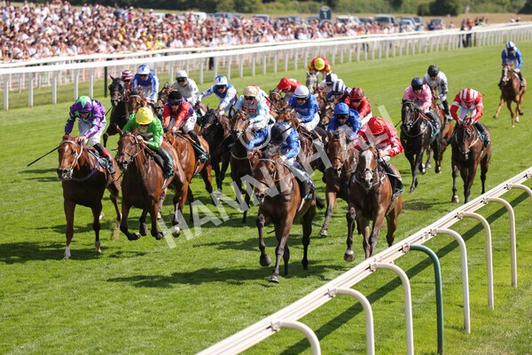 yr09072022r5-36 - Race 5 4.05pm John Smith's Cup