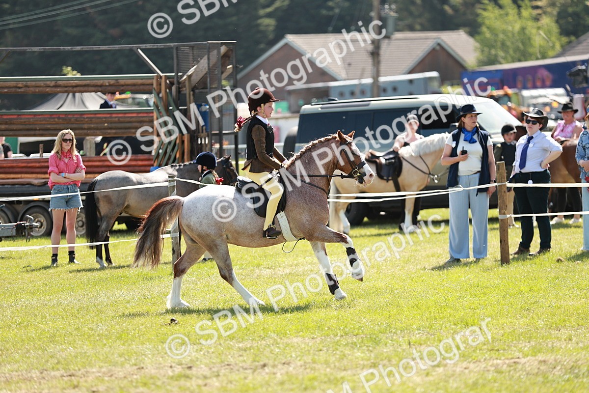 SBM_13515 - Class 108-109 - BSPS LIHS Open Gradle & Nursery Stakes