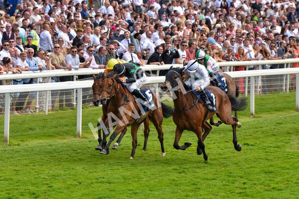 270523-Race 4-River of Stars-4353 - Race 4 3.15pm William Hill Bronte Cup Fillies' Stakes