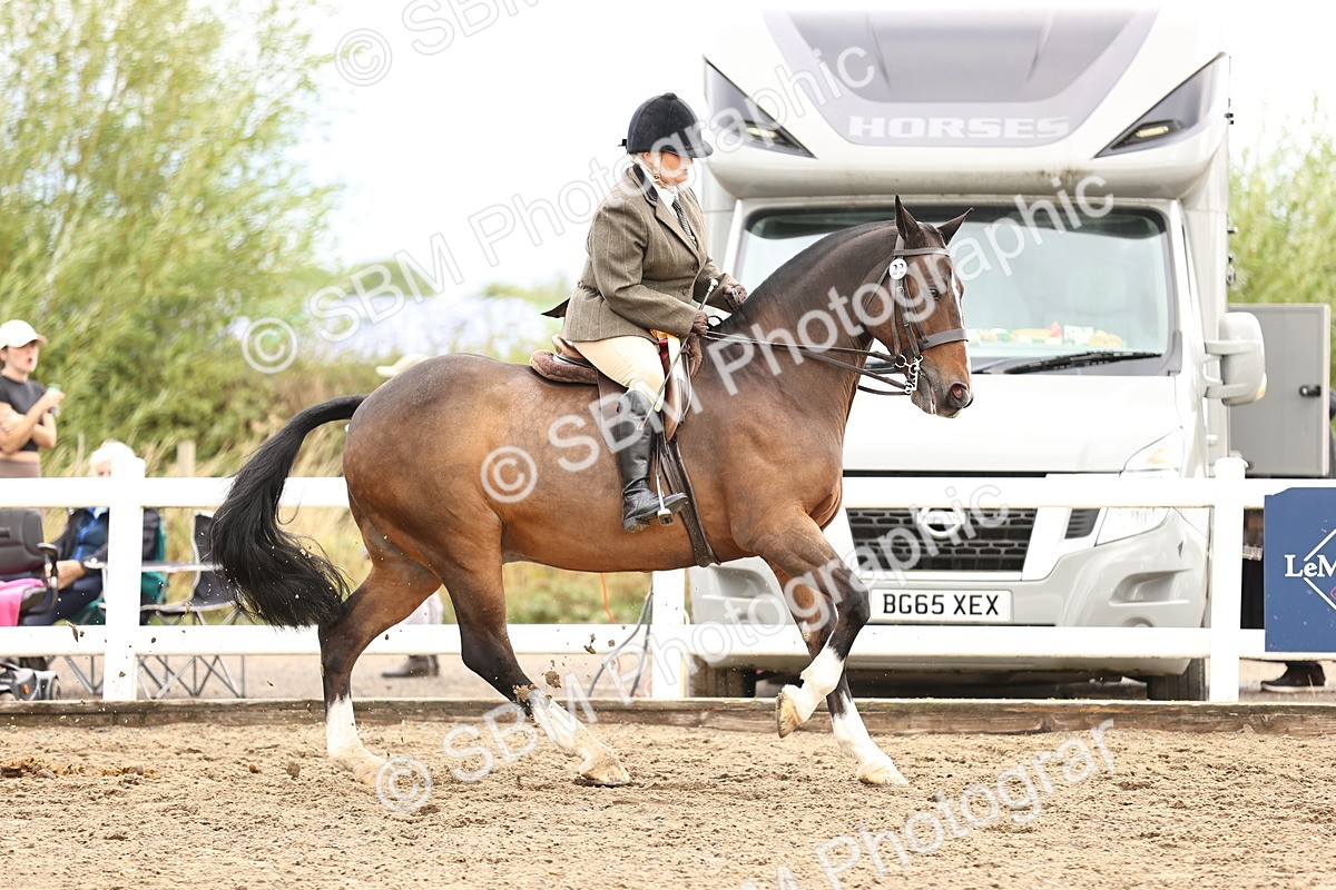 SBM_00376