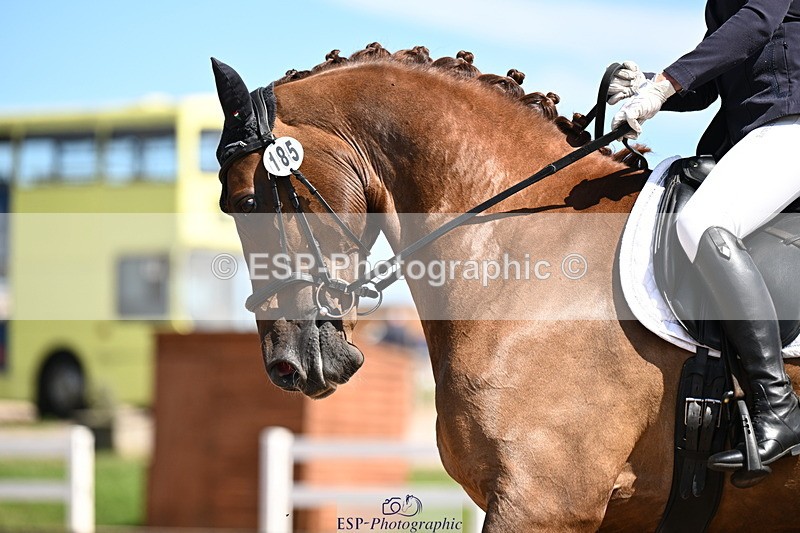 240816A-132842-05075 - 185-Gillian.Hill-Dunaire.Hugo