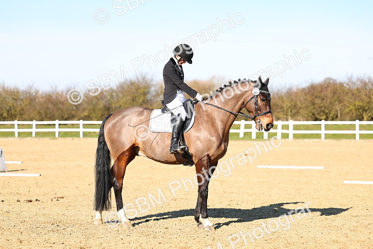 026A8864 - Class 7 - Elementary 4