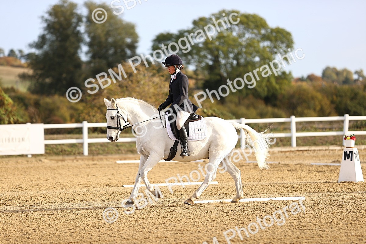 SBM_009010 - Class 2 - P5