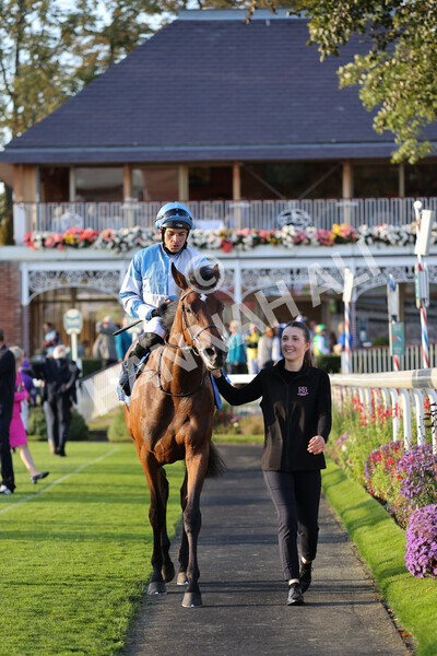 yr08102021r6-26 - Race 6 4.55pm Frank Whittle Partnership British EBF Restricted Novice Stakes