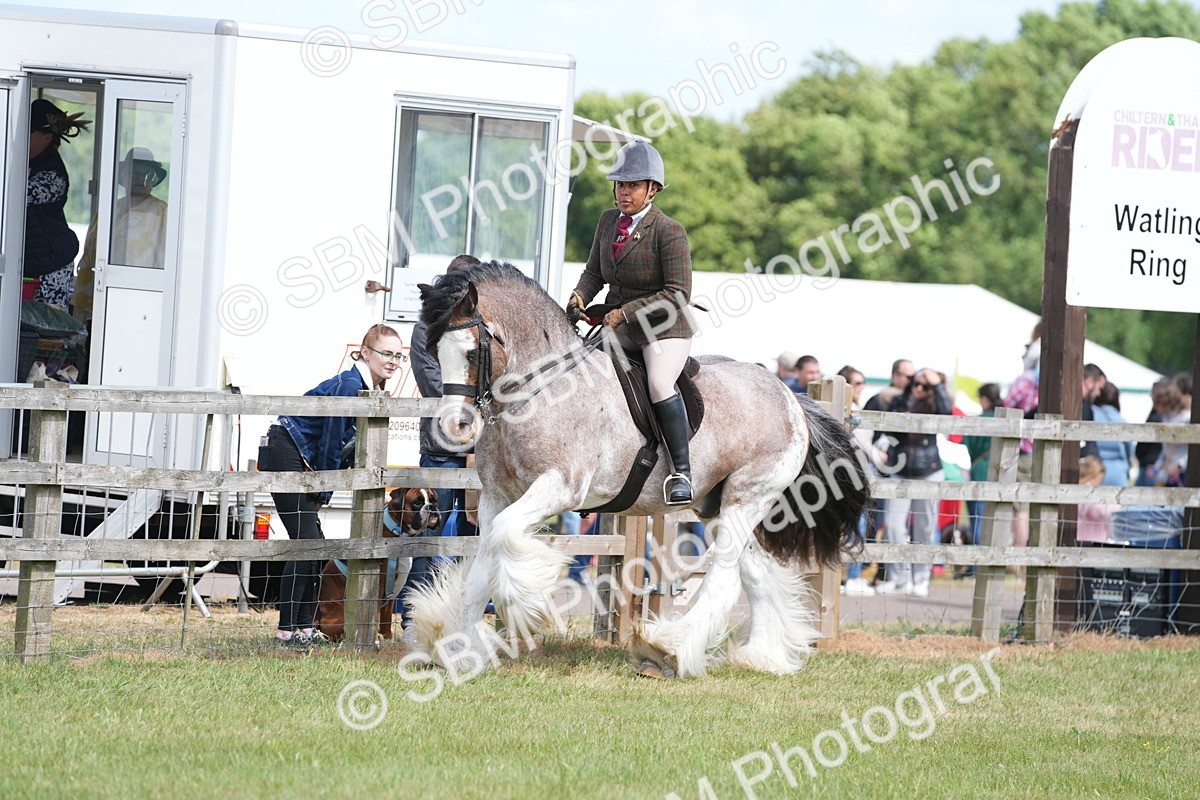 SBM_17146 - Class 107-108 - LIHS BSPS Performance Coloured Horse Pony