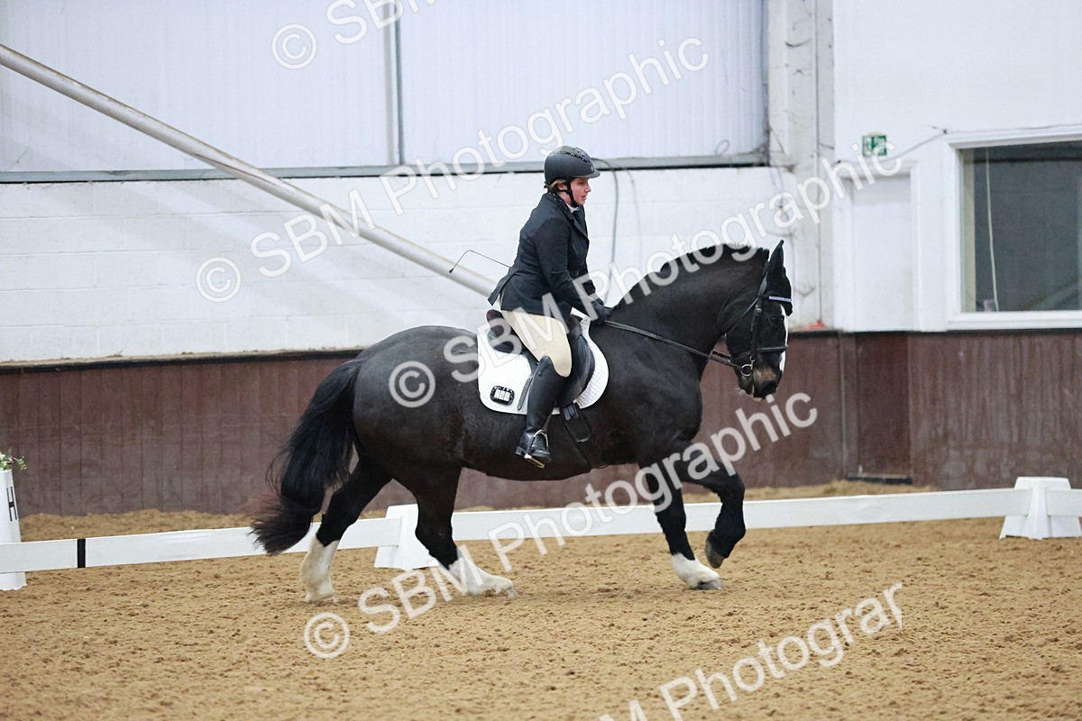 SBM_000173 - Class 17-6-18 - TQ U21 Novice 3Novice 3-MQ Open Prelim 1