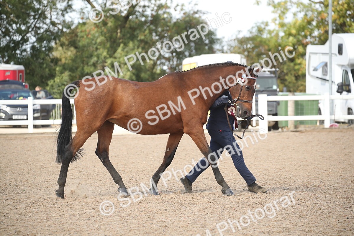 SBM_23500 - Class 604 - 2026 - Area IH Diamond