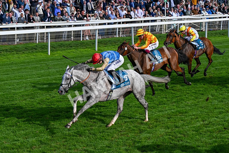 210826-Race 7-Silver Lake-0432 - Race 7 17.20pm Sky Bet EBF Fillies' Handicap