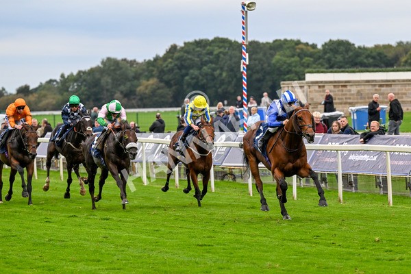 101025-Race 3-Mukhtalif-0212 - Race 3 William Hill Each Way Extra Handicap at York