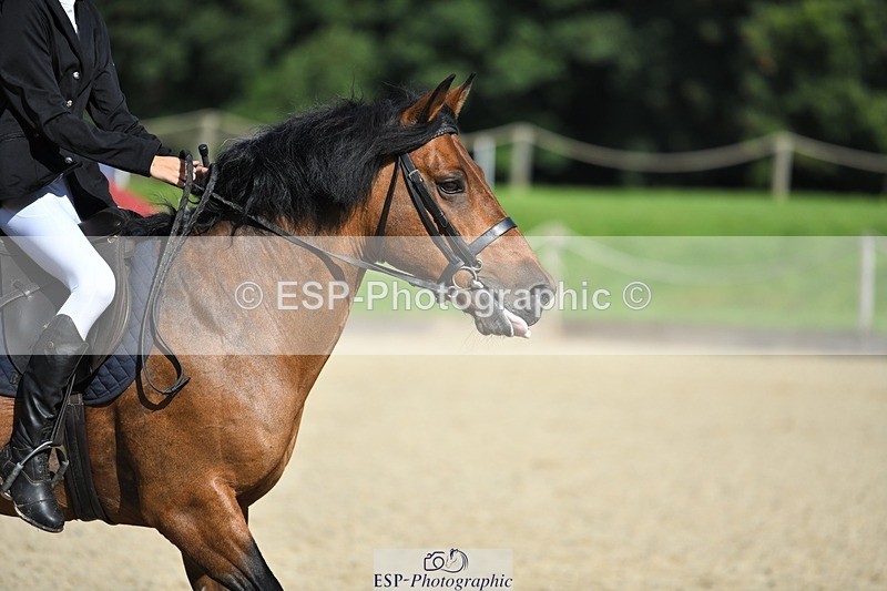 230820-095951-00114 - 70cm - Round 1