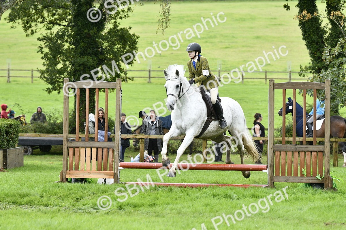 SBM_41424 - S32 - Mountain & Moorland Working Hunter Pony