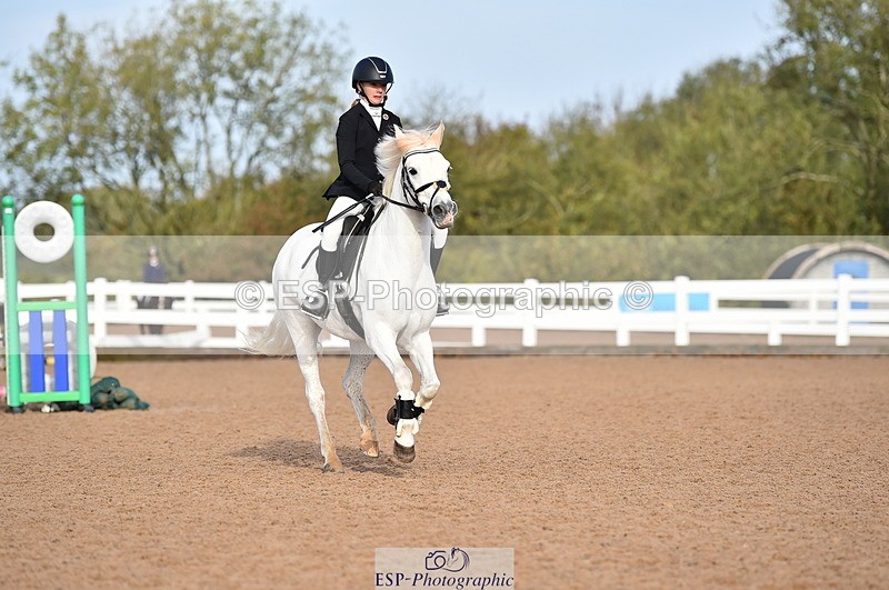 231028A-110828-00703 - Cls 2 British Novice & 80cm Open