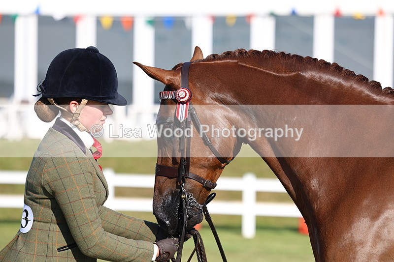 3E7A5136 - Class 1: Rising Star Small Hack/Riding Horses
