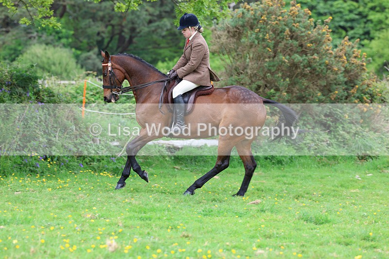 3E7A2008 - Class 10: Ridden Sports Horse