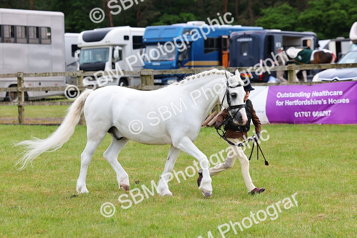 SBM_09558 - Class 44-45 - LIHS BSPS Open Nursery and Cradle Stakes