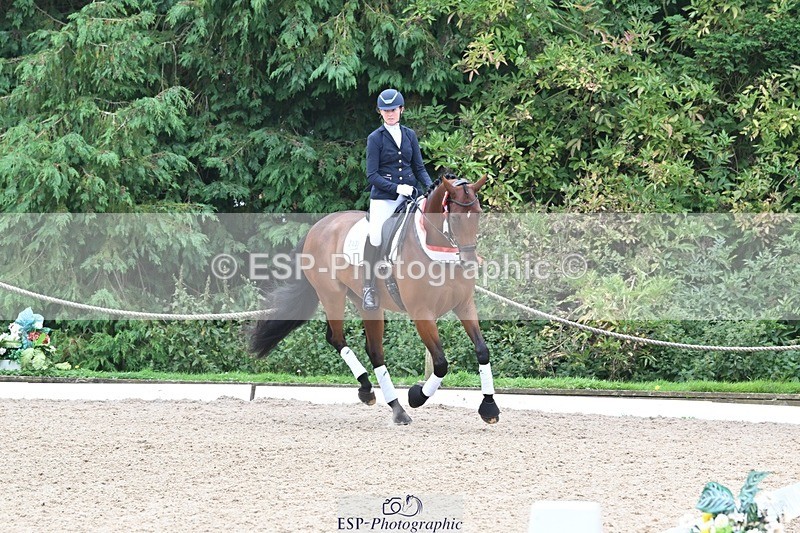 240811-132049-05890 - Adv Medium Silver