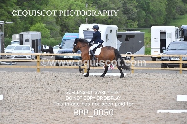 BPP_0050 - SHORT ARENA  MY QUEST PRELIM