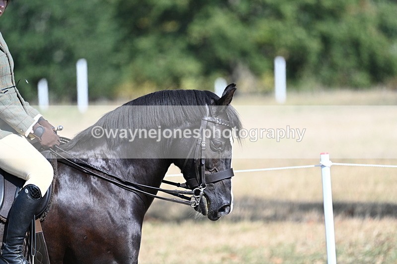 WJ7_3456 - Class 9 Mountain & Moorland Ridden