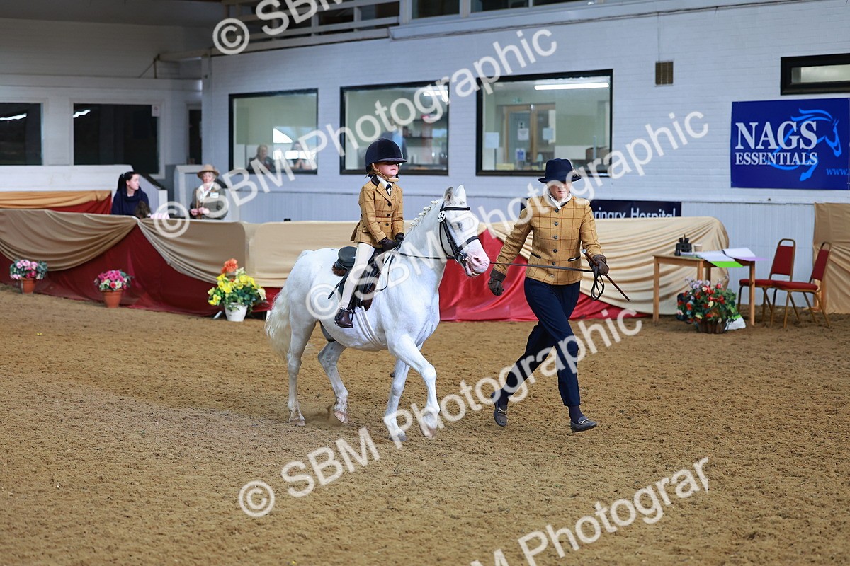 SBM_07727 - Class 101 - HOYS Veteran Qualifier - Ridden Diamond