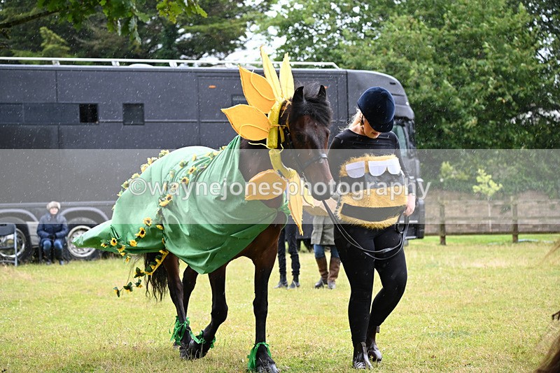 WJ6_9055 - Class 11 Fancy Dress