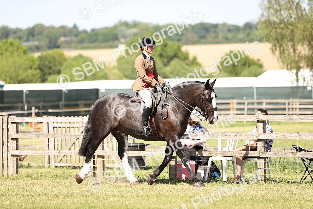 SBM_18090 - Class 81-83 - TSR Ridden Amateur of the Year - Horses