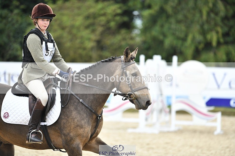 230827-120351-24315 - SJ 11.30 to End