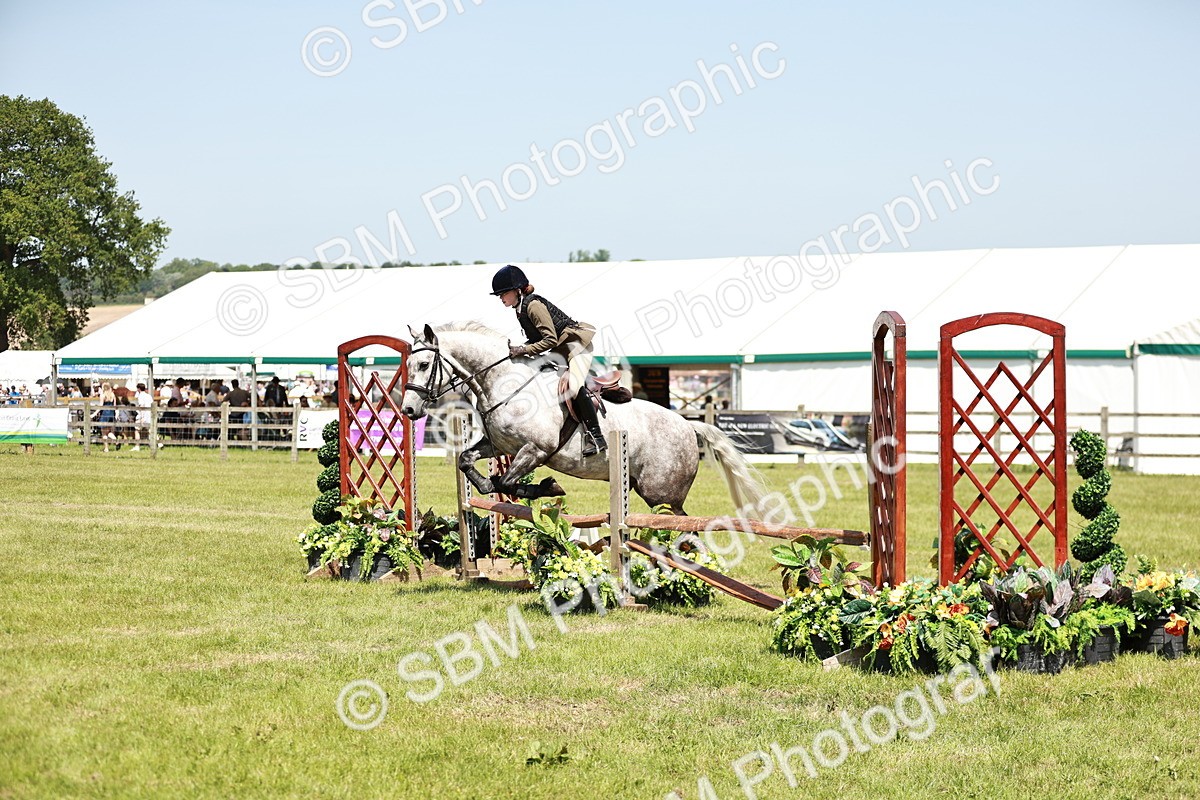 SBM_16338 - Class 110-111 - Training Stakes (70cms 80cms)