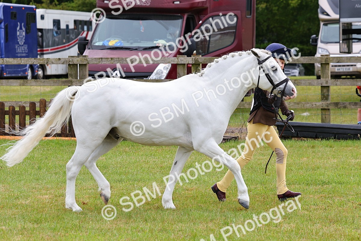 SBM_09609 - Class 44-45 - LIHS BSPS Open Nursery and Cradle Stakes