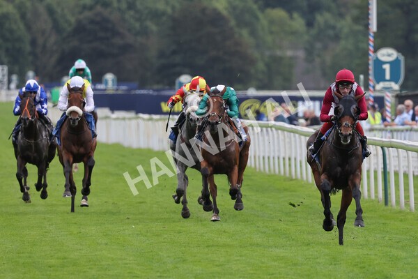 yr24092021r5-15 - Race 5 3.50pm William Hill Leading On Course Bookmaker Stakes