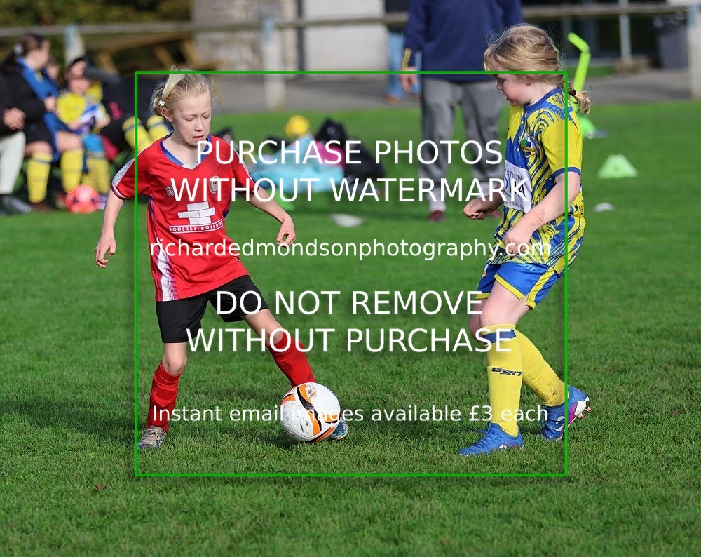 533A3600 - Halton Girls U9 (11/10/26)