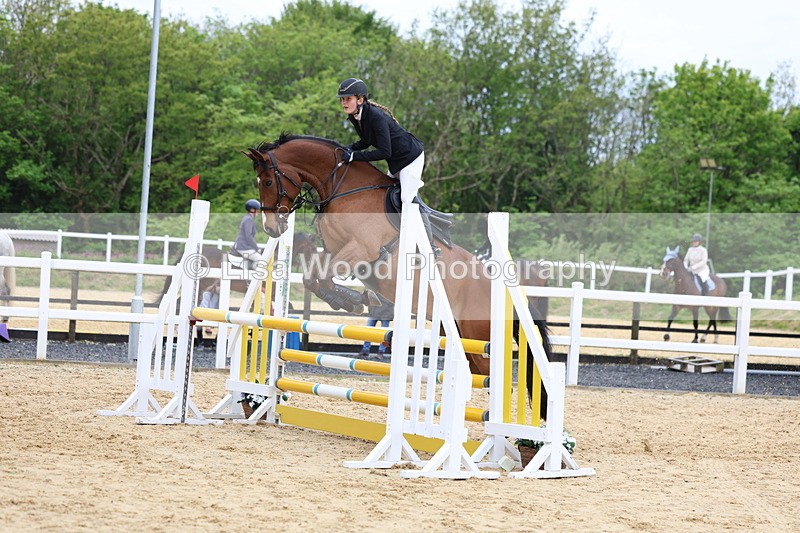 3E7A6051 - Class 4: Senior British Novice/90cm open