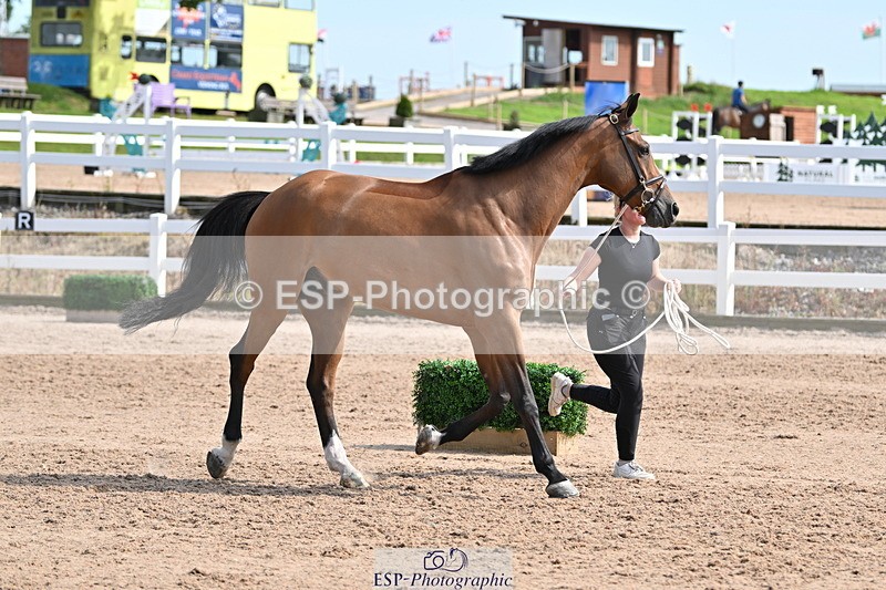 240717A-160215-03275 - Trot Up 4pm to 5pm