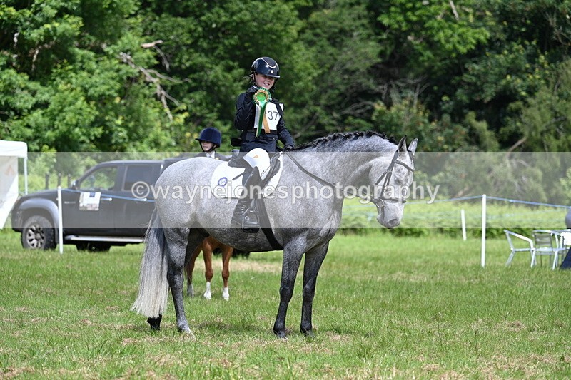 WJ7_1831 - Class 9 Pony Club Pony