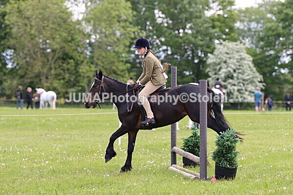 IMG_2472 - Working Hunter