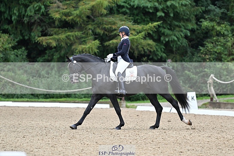 240810-103004-02682 - 235-Rebecca.Cowderoy-Nights.Dream