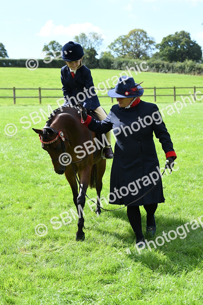 SBM_41240 - S19 - Lead Rein Show & Show Hunter Pony