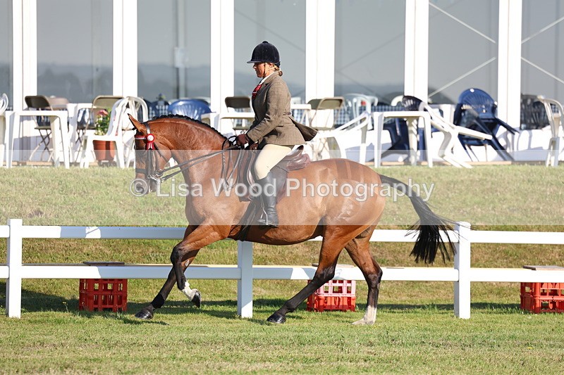 3E7A5018 - Class 1: Rising Star Small Hack/Riding Horses