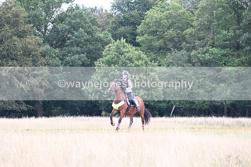 DSC_7295 - Time at Statue 13:16 to 13:52