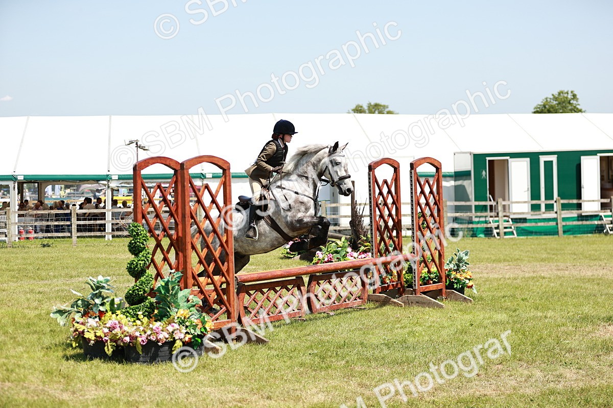 SBM_16336 - Class 110-111 - Training Stakes (70cms 80cms)