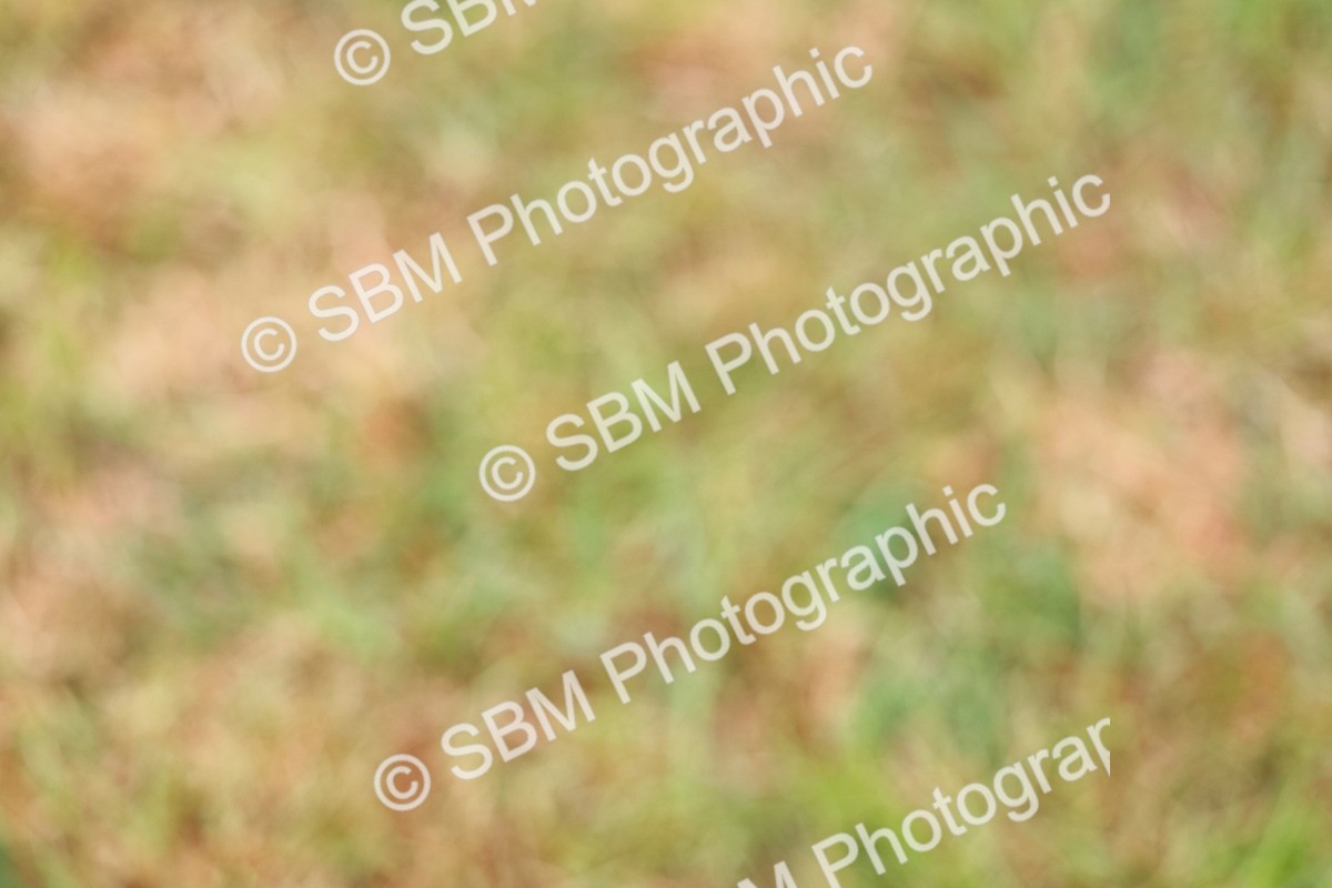 SBM_02850 - Class 9-11 Side Saddle including LIHS Rising Star Ladies Show Horse