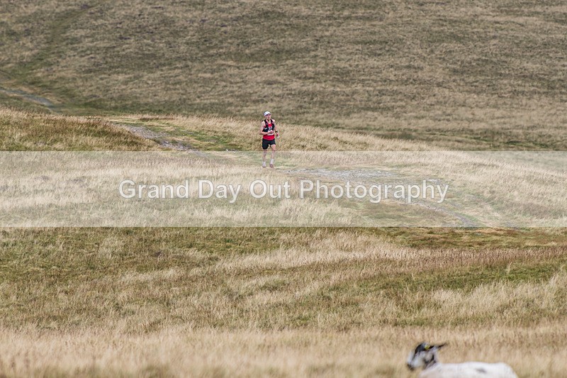 Sedbergh Hills-395 - Sedbergh Hills Fell Race Sunday 16th August 2026