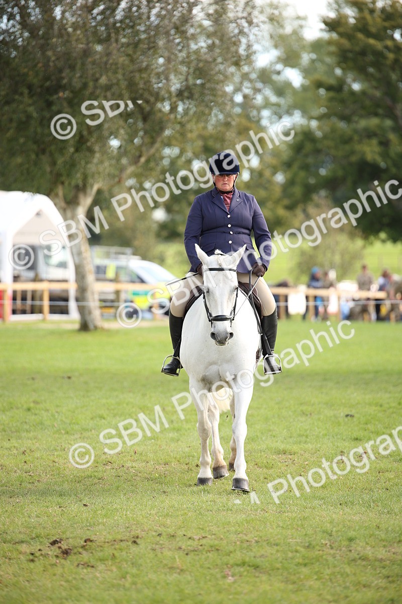 SBM_50207 - S26 - Young Veteran - Ridden