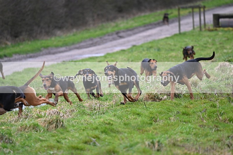 WJ6_8197 - Cam B