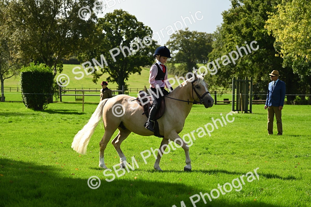 SBM_02740 - S3 - TSR Ridden Pony Showing