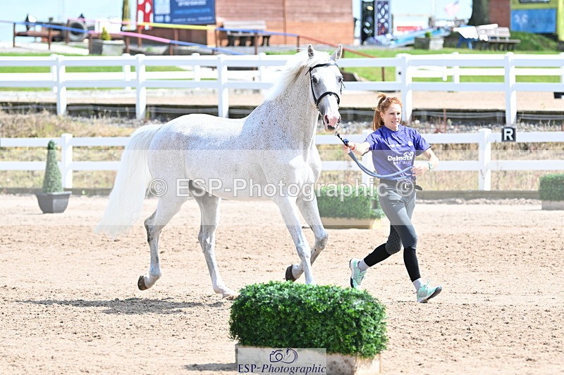 240717A-152121-02779 - Trot Up 3pm to 4pm