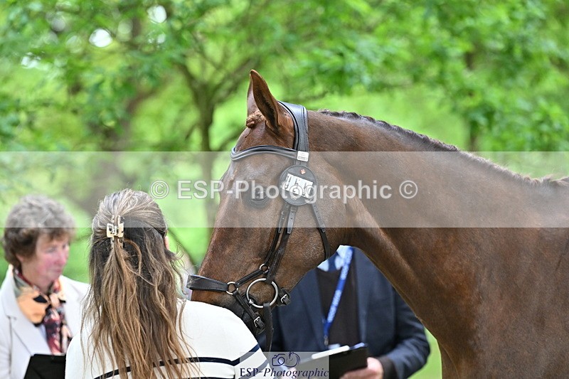 250521A-144247-00186 - A-055-Annabel.Finston-BRAVEHEART.B