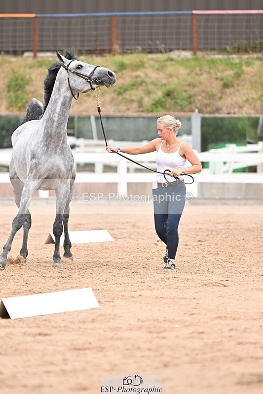 250716-155250-02252 - Trot Up 3.30 to 4.30