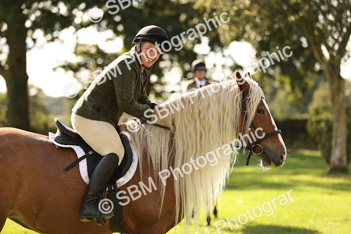 SBM_26414 - S6 - Novice & Newcomers Ridden Horse