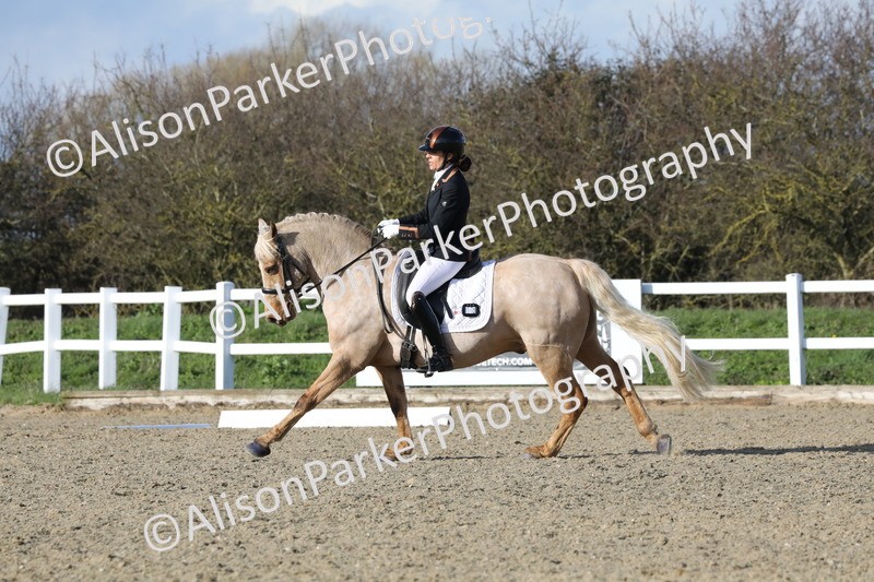 20260314-5816 - DR 7 - Elementary 1